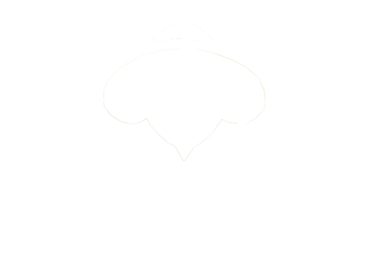 XRLXRL®